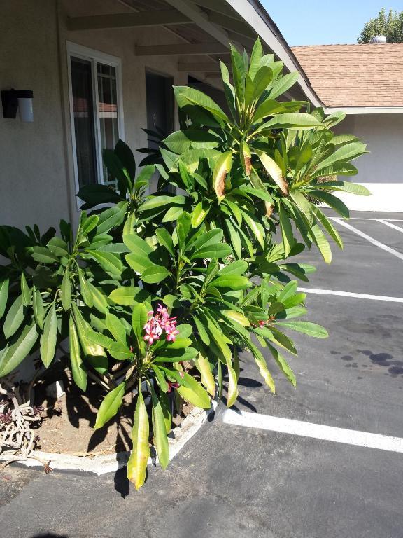 New Kansan Motel Rancho Cucamonga Esterno foto